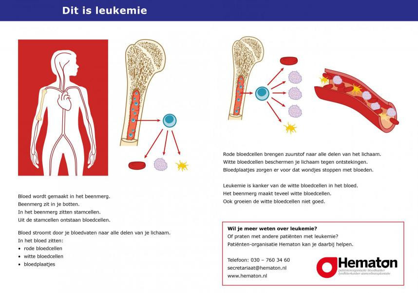praatkaart-leukemie